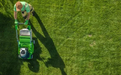 Saving Money in the Long Run: The Cost-Effective Nature of Professional Lawn Care