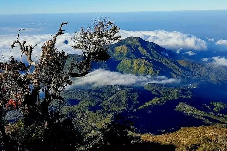 Misteri Sapi Siluman di Gunung Lawu: Antara Legenda dan Keyakinan Spiritual
